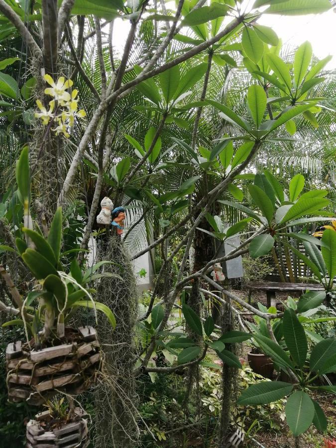 Naiyang Boutique Resort Ban Phak Chit Eksteriør billede